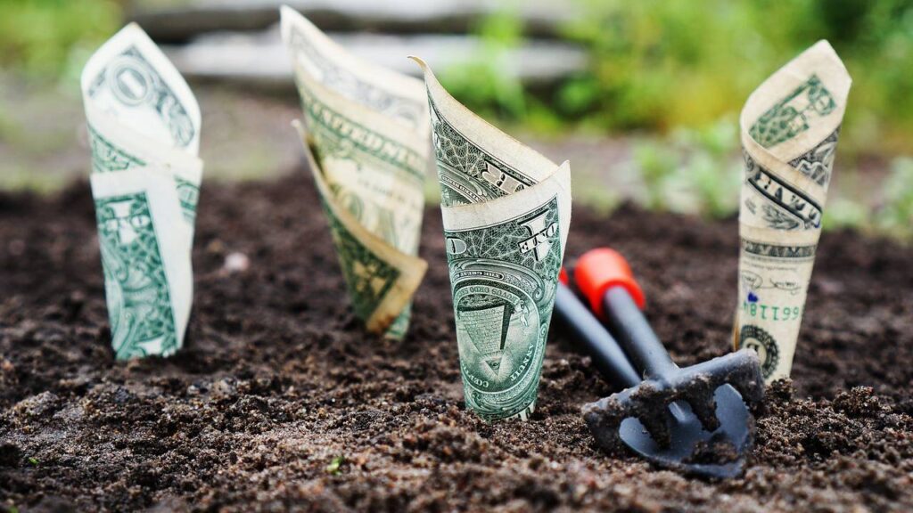 Mengatur Budget Investasi Sesuai Kemampuan Finansial