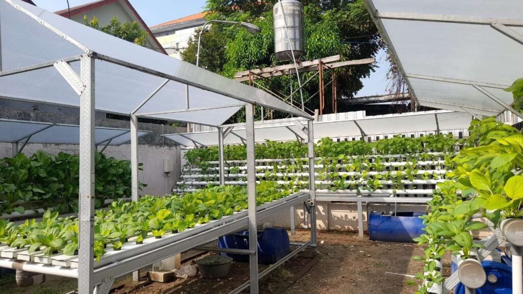 Potensi Keuntungan Bisnis Agrikultur Melonjak, Apa Sebabnya?