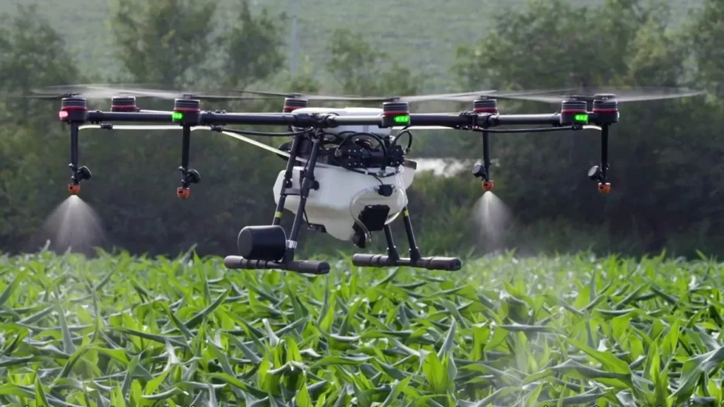 Potensi Keuntungan Bisnis Agrikultur Melonjak, Apa Sebabnya?